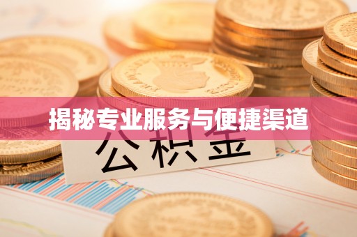 江门揭秘专业服务与便捷渠道